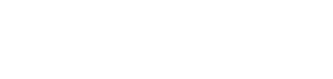 The Visual Storytellers Group logo